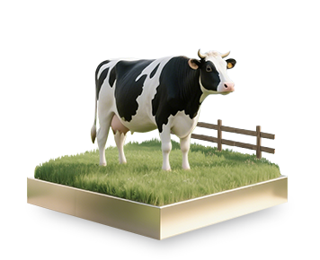 精研奶源<i> 2</i>